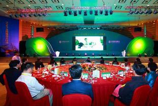 廣西專業婚慶策劃主持哪家好？非凡婚慶活動策劃全方位解析